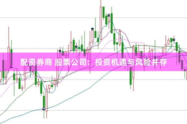 配资券商 股票公司：投资机遇与风险并存