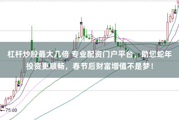 杠杆炒股最大几倍 专业配资门户平台，助您蛇年投资更顺畅，春节后财富增值不是梦！