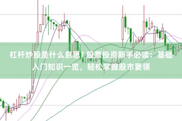 杠杆炒股是什么意思? 股票投资新手必读：基础入门知识一览，轻松掌握股市要领