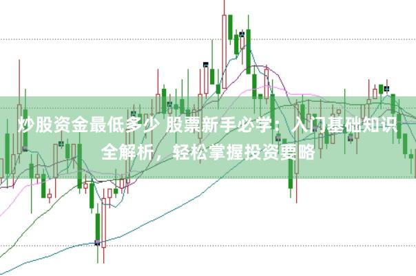炒股资金最低多少 股票新手必学：入门基础知识全解析，轻松掌握投资要略