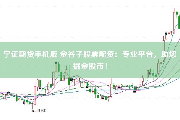宁证期货手机版 金谷子股票配资：专业平台，助您掘金股市！