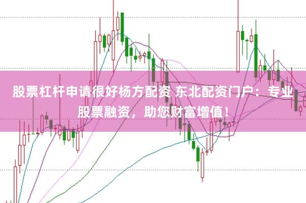 股票杠杆申请很好杨方配资 东北配资门户：专业股票融资，助您财富增值！