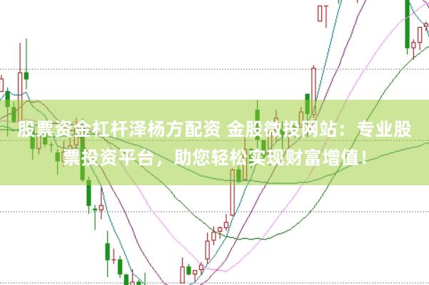 股票资金杠杆泽杨方配资 金股微投网站：专业股票投资平台，助您轻松实现财富增值！