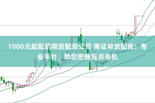 1000元起配的期货配资公司 南证期货配资：专业平台，助您把握投资良机