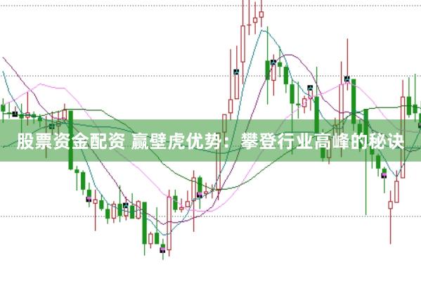 股票资金配资 赢壁虎优势：攀登行业高峰的秘诀