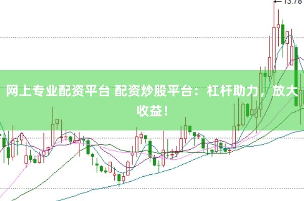 网上专业配资平台 配资炒股平台：杠杆助力，放大收益！