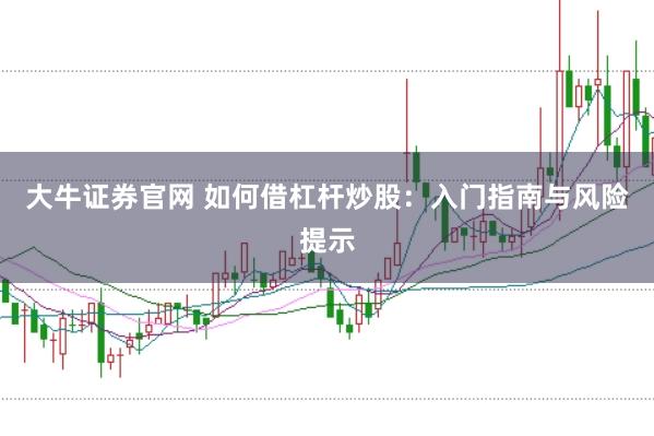 大牛证券官网 如何借杠杆炒股：入门指南与风险提示