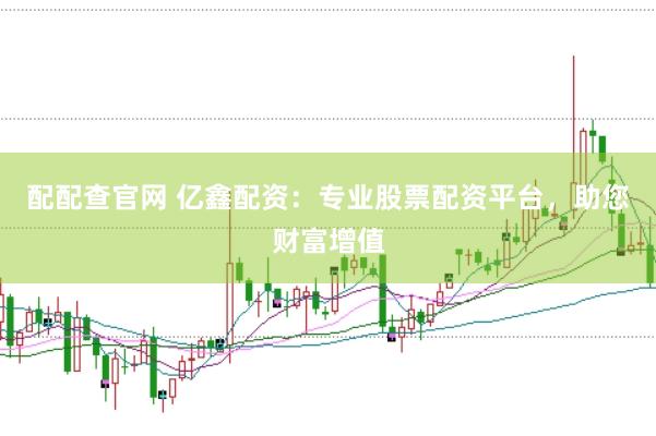 配配查官网 亿鑫配资：专业股票配资平台，助您财富增值