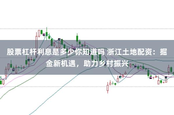 股票杠杆利息是多少你知道吗 浙江土地配资：掘金新机遇，助力乡村振兴