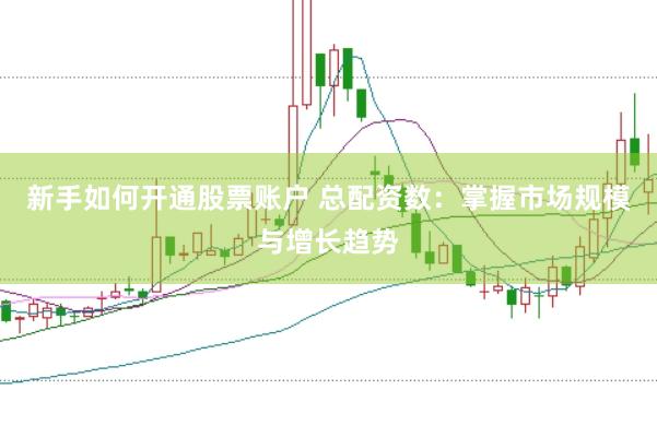新手如何开通股票账户 总配资数：掌握市场规模与增长趋势