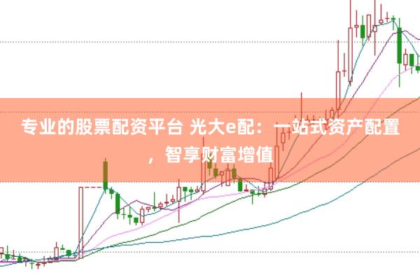专业的股票配资平台 光大e配:一站式资产配置,智享财富增值