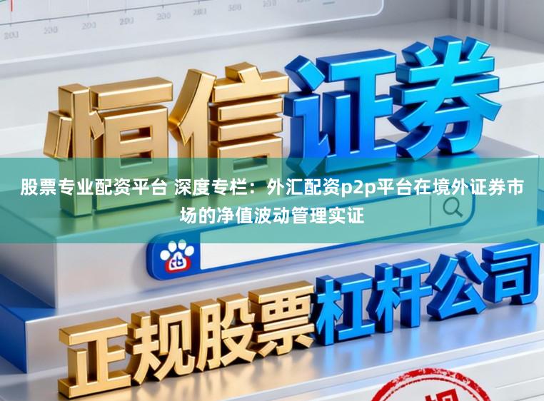 股票专业配资平台 深度专栏：外汇配资p2p平台在境外证券市场的净值波动管理实证