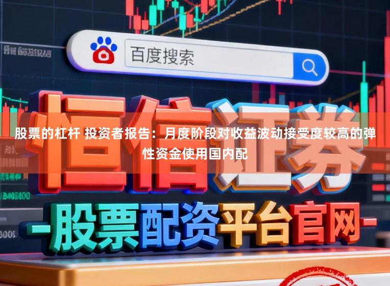 股票的杠杆 投资者报告：月度阶段对收益波动接受度较高的弹性资金使用国内配